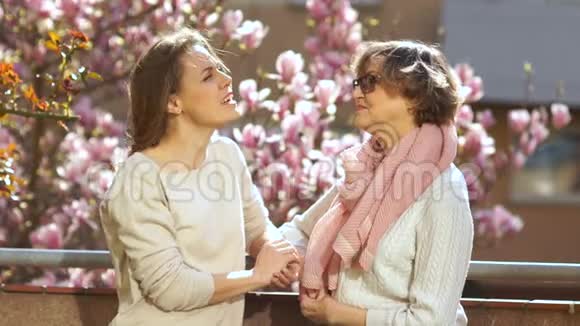 两个女人在一个盛开的木兰花园的背景下交谈这位年轻女子高兴地笑了视频的预览图