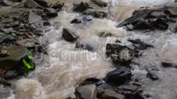 雨后山河里的脏水视频的预览图