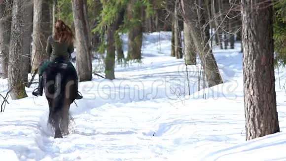 一位妇女骑着马在雪地小径上行走视频的预览图