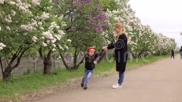 在春天的公园里一个小男孩在开花的树间绕着他的母亲跑视频的预览图