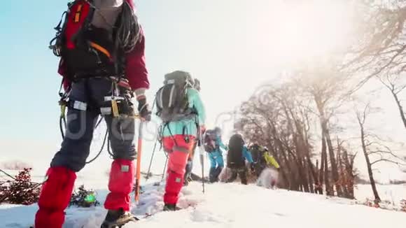 装备登山者互相跟随穿越高雪视线从后视频的预览图