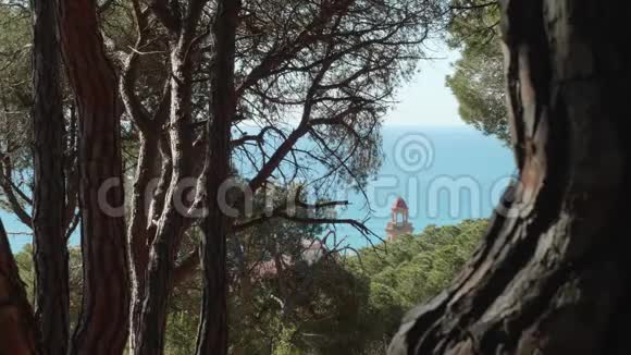卡莱拉Iglesia顶部的视图绿松石海在背景上透过森林的树木观看视频的预览图