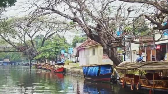 河岸边的印度旅游船与奇奇怪怪的树木视频的预览图