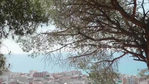 通过绿树观赏西班牙小镇卡拉拉及其建筑和教堂背景上的绿松石海视频的预览图