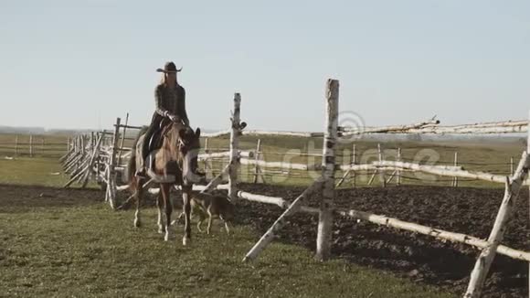 棕马女牛仔美丽的女人骑着马狗沿着篱笆视频的预览图