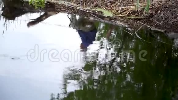 渔夫坐在河边的破树上倒在水里视频的预览图