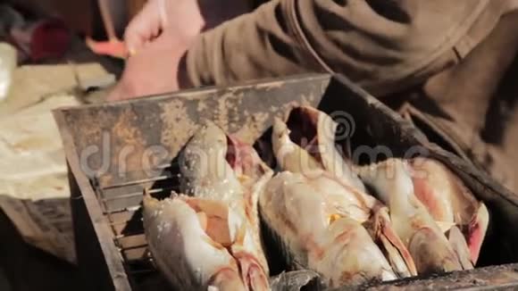 老人手准备鱼吸烟或烧烤在室外的烟屋里煮鲭鱼视频的预览图