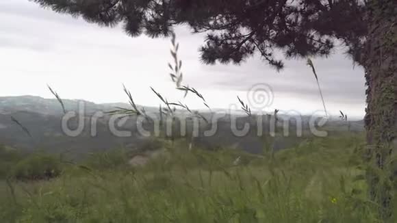 意大利绿色植物的山景视频的预览图