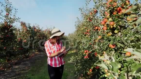 一位年轻的女商人或农学家在苹果园工作用数字平板电脑更好地观察视频的预览图
