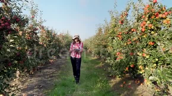 一位年轻的女商人或农学家在苹果园工作在平板电脑上做笔记以求更好视频的预览图