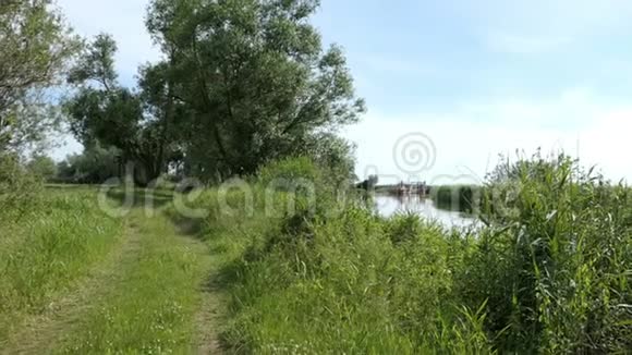 德国勃兰登堡地区哈维尔河景观夏日时光柳树和草地视频的预览图