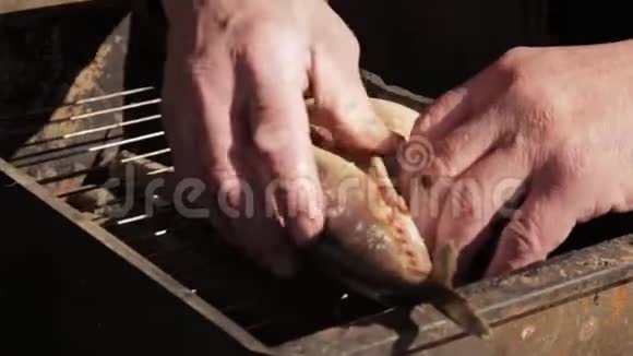 老人手准备鱼吸烟或烧烤在室外的烟屋里煮鲭鱼视频的预览图