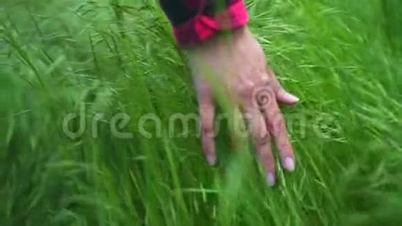 在日落特写镜头时女性的手慢慢地抚摸着草地视频的预览图
