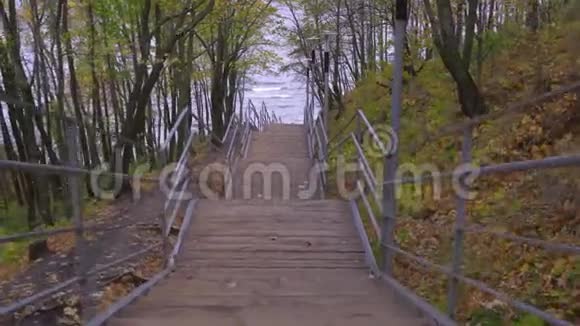摄像机沿着一个木制楼梯移动到秋天公园的水上视频的预览图