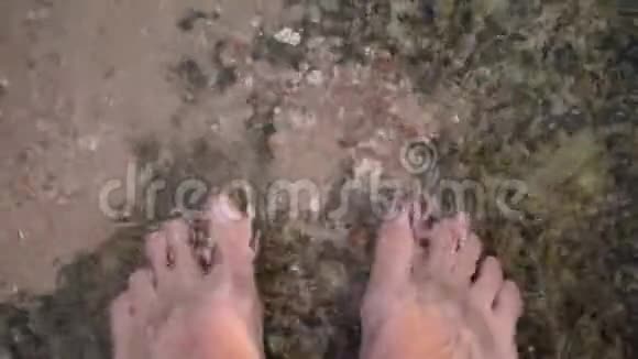 特写雄脚在清澈的海水中站在浅海的卵石上清澈的海水在浅水中在底部视频的预览图
