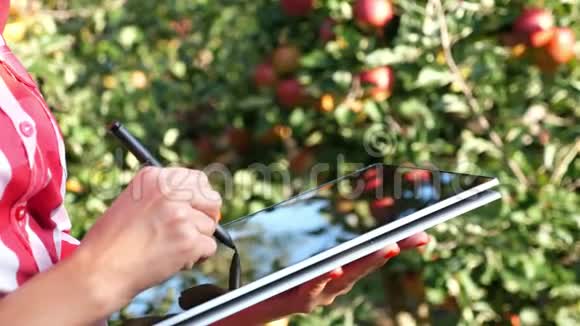 在苹果园工作的女商人或农学家在平板电脑上做笔记以提高质量视频的预览图
