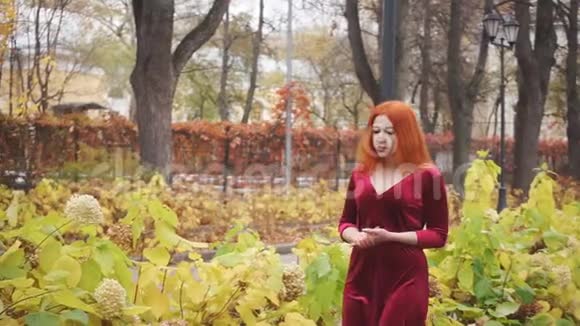 进攻性的少女穿过秋天的公园视频的预览图