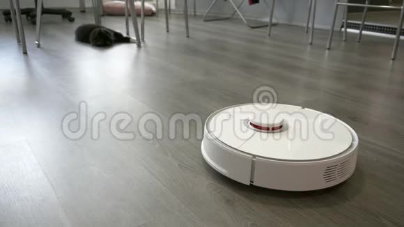 懒猫躺在客厅的地板上饶有兴致地看着机器人吸尘器视频的预览图