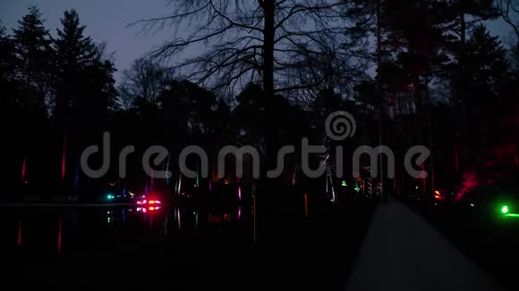 公园里湖边的夜晚小巷被人工灯光照亮视频的预览图