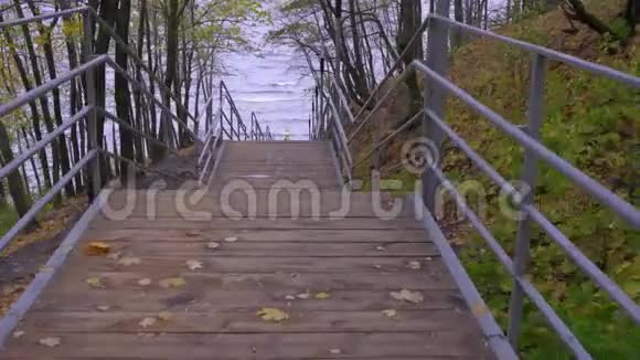 摄像机沿着一个木制楼梯移动到秋天公园的水上视频的预览图