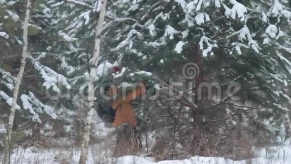 孩子摇着树雪花从森林里飘落下来视频的预览图