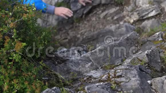 强壮的人爬上一块岩石到达悬崖的顶端慢动作视频的预览图