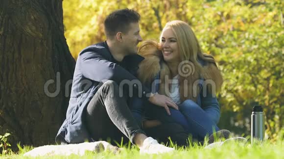 在秋林野餐的快乐夫妻男人亲吻女人浪漫的约会视频的预览图