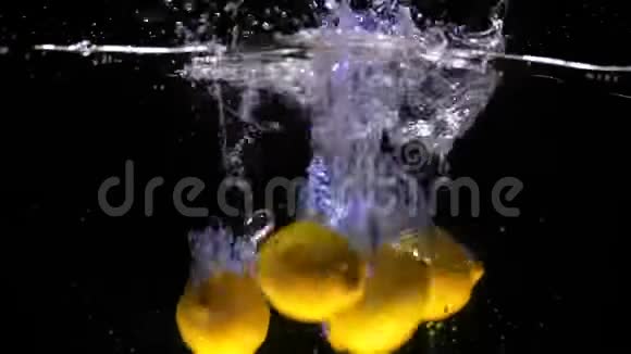新鲜的狐猴正落入水中在黑色背景特写的慢速动作上溅起水花视频的预览图