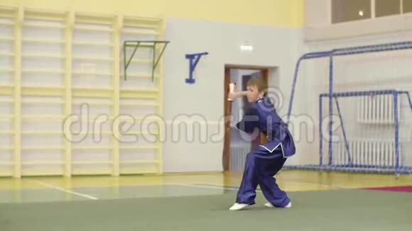 练武练剑练长拳的少年视频的预览图