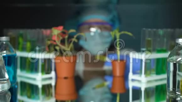菲顿植物遗传育种实验中的实验室辅助注射肥料视频的预览图