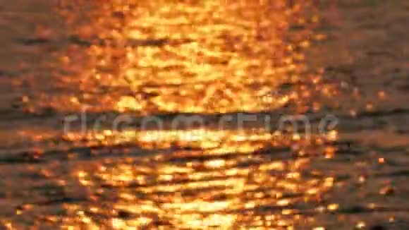金色的海面模糊的影像视频的预览图