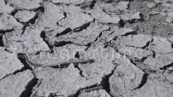 水滴落在干旱的裂缝土壤上视频的预览图