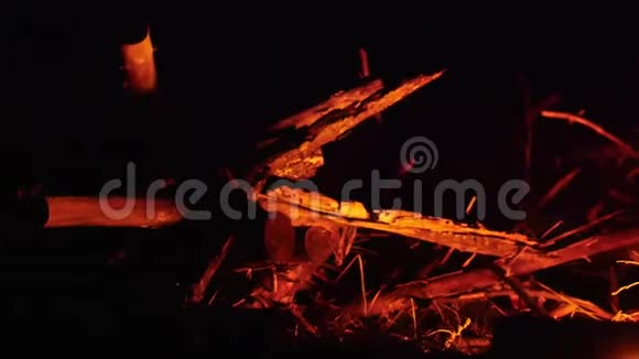 篝火的红光映在森林中的树林上视频的预览图