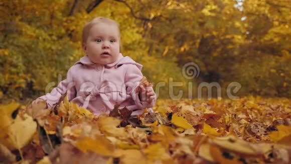 小女孩坐在秋叶上视频的预览图