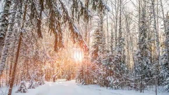冬天的风景有美丽的降雪和夕阳视频的预览图