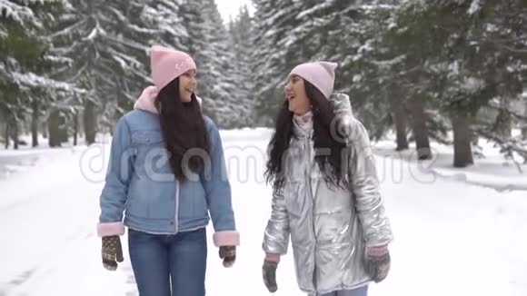 冬天两个女朋友在树林里散步心情很好视频的预览图