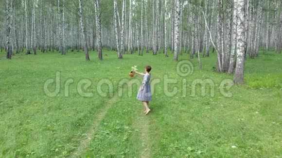 一个年轻的女人穿过一片白桦林循环和欢乐四架飞机的空中摄影视频的预览图