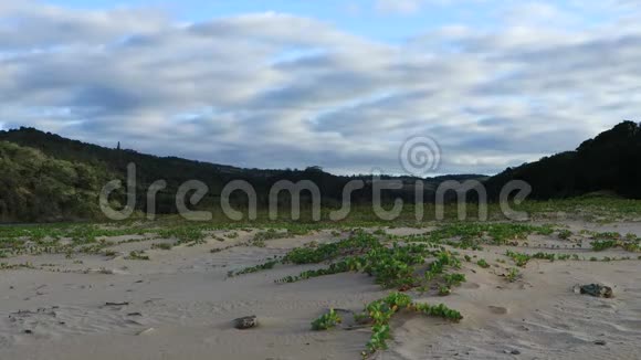 海岸沙丘上的时间流逝视频的预览图