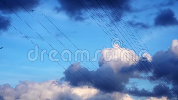 高电压电线对抗蓝天浮云鸟飞过视频的预览图