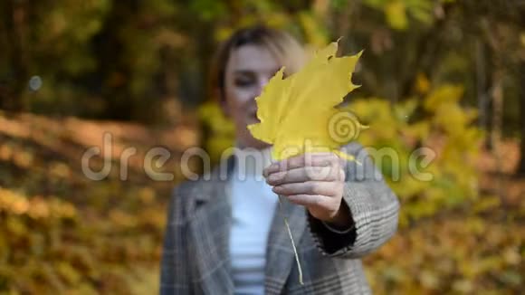 可爱的年轻开朗快乐的女孩把脸藏在秋天公园的一片黄色枫叶后面视频的预览图
