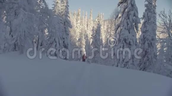 西伯利亚的滑雪场一个人站在雪林中的山上视频的预览图