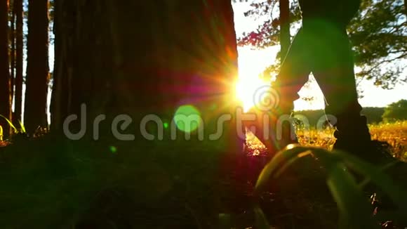 在日落背景下一个女孩站在森林里的一棵树旁边的腿视频的预览图
