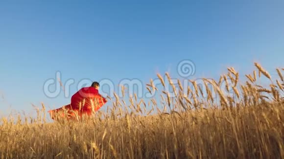 少女穿着红色斗篷扮演超级英雄孩子穿着美丽的斗篷在蓝天上跑过麦田视频的预览图