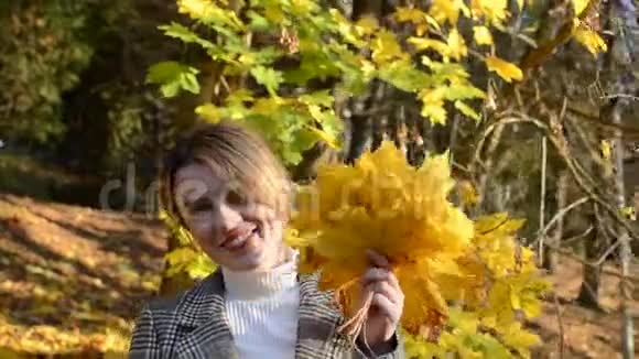 可爱的年轻开朗快乐的女孩把脸藏在秋天公园的一片黄色枫叶后面视频的预览图