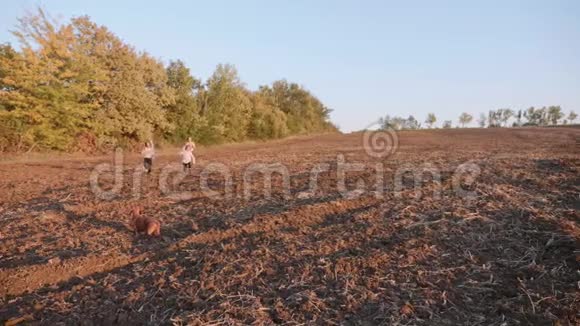 农夫孩子们在田野上奔跑视频的预览图