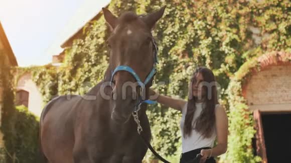 17岁的女孩带着她心爱的马视频的预览图