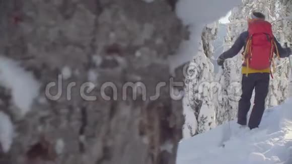 西伯利亚的滑雪场一个人站在雪地森林的山顶上视频的预览图