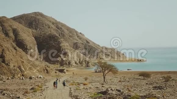 一群朋友去海滩人们在海山的背景下向前走动作缓慢视频的预览图