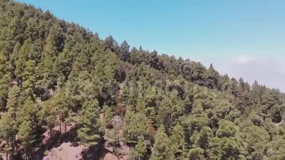 无人驾驶飞机全景特内里费森林山谷和海洋视频的预览图