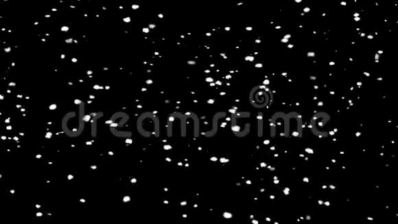 落冬雪无缝环风和暴风雪中孤立的雪花视频的预览图